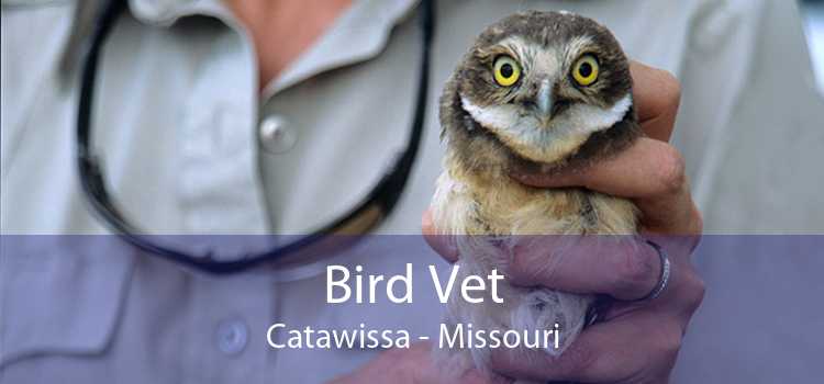 Bird Vet Catawissa - Missouri