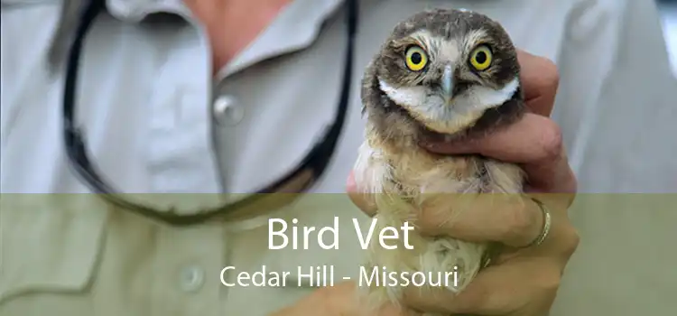 Bird Vet Cedar Hill - Missouri