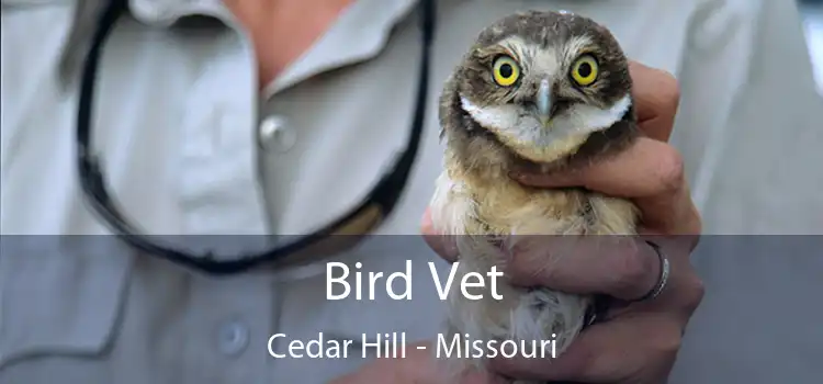 Bird Vet Cedar Hill - Missouri