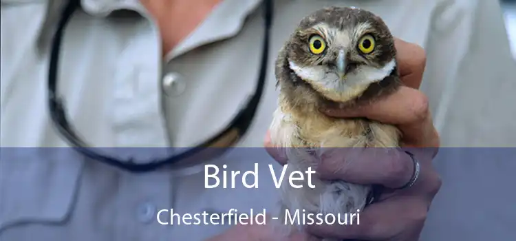 Bird Vet Chesterfield - Missouri
