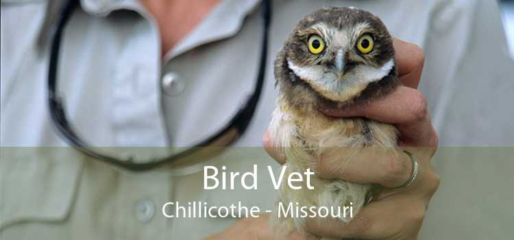 Bird Vet Chillicothe - Missouri