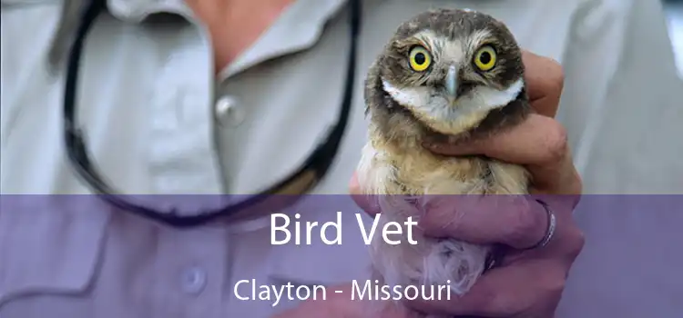 Bird Vet Clayton - Missouri