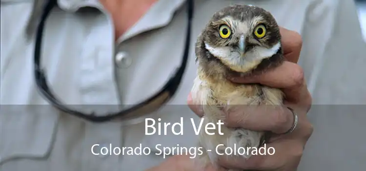Bird Vet Colorado Springs - Colorado