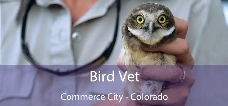 Bird Vet Commerce City - Colorado