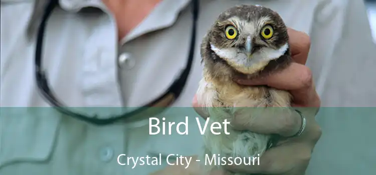 Bird Vet Crystal City - Missouri