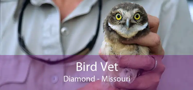 Bird Vet Diamond - Missouri