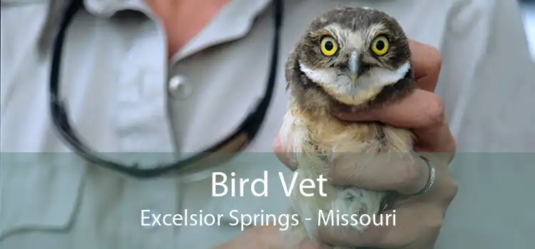 Bird Vet Excelsior Springs - Missouri