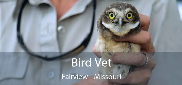 Bird Vet Fairview - Missouri