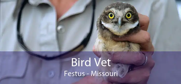 Bird Vet Festus - Missouri