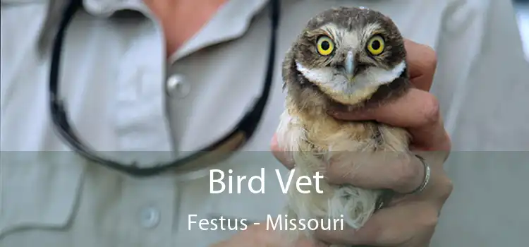 Bird Vet Festus - Missouri