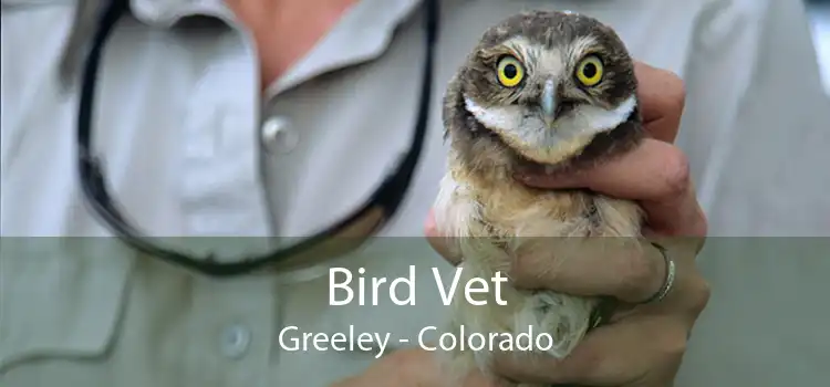 Bird Vet Greeley - Colorado