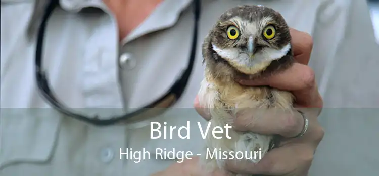 Bird Vet High Ridge - Missouri