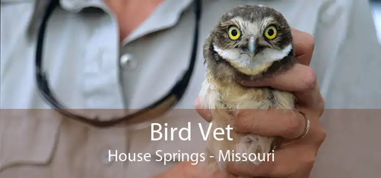 Bird Vet House Springs - Missouri
