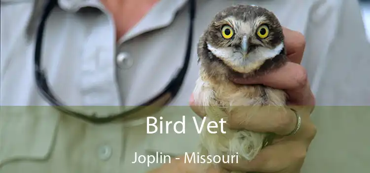 Bird Vet Joplin - Missouri