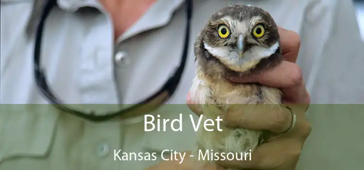 Bird Vet Kansas City - Missouri