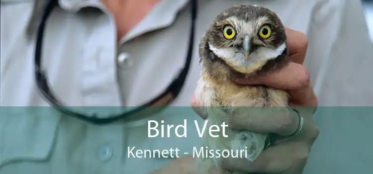 Bird Vet Kennett - Missouri