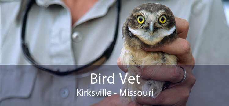 Bird Vet Kirksville - Missouri
