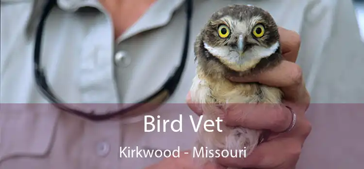 Bird Vet Kirkwood - Missouri