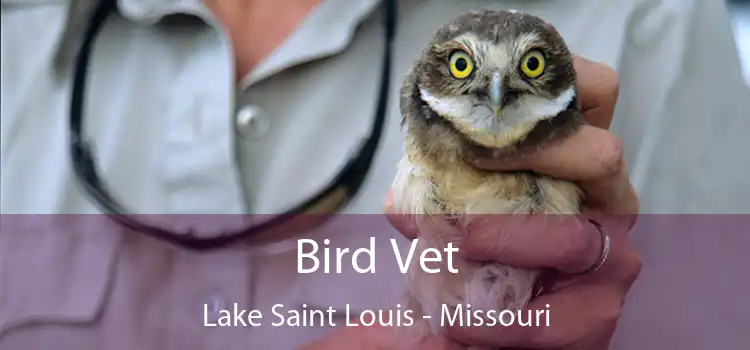 Bird Vet Lake Saint Louis - Missouri