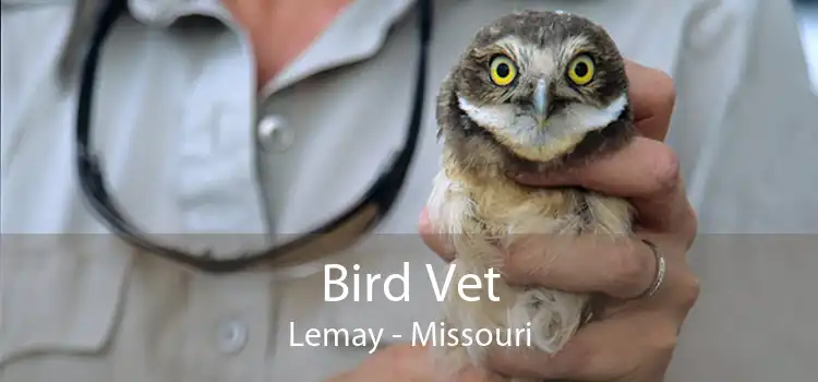 Bird Vet Lemay - Missouri
