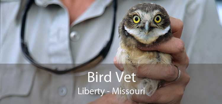 Bird Vet Liberty - Missouri