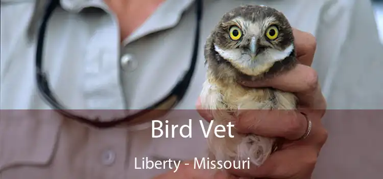 Bird Vet Liberty - Missouri