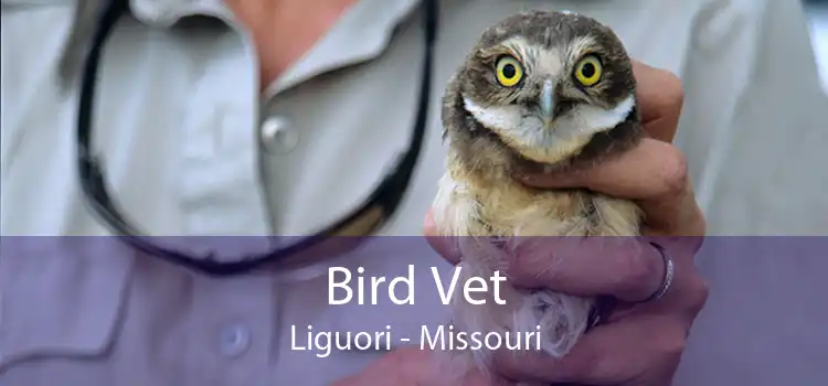 Bird Vet Liguori - Missouri