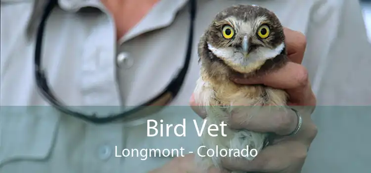 Bird Vet Longmont - Colorado