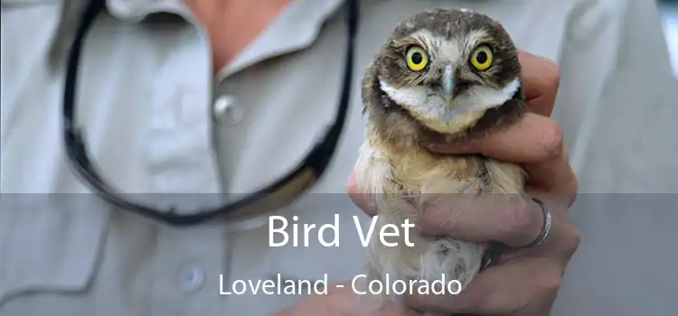 Bird Vet Loveland - Colorado