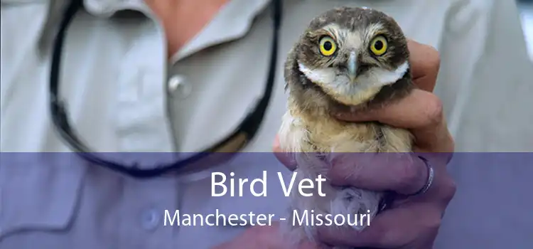 Bird Vet Manchester - Missouri