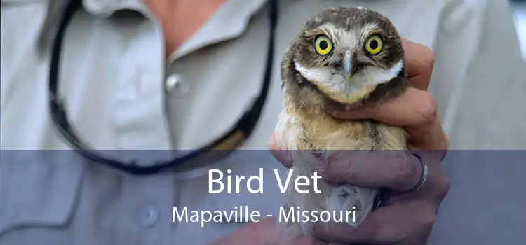 Bird Vet Mapaville - Missouri