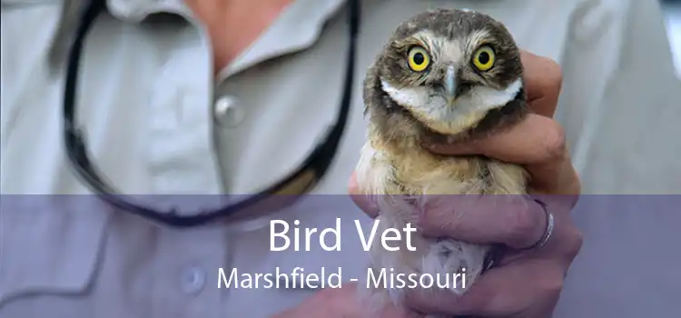 Bird Vet Marshfield - Missouri