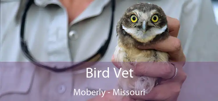 Bird Vet Moberly - Missouri