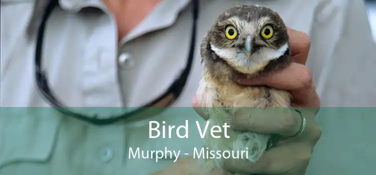 Bird Vet Murphy - Missouri