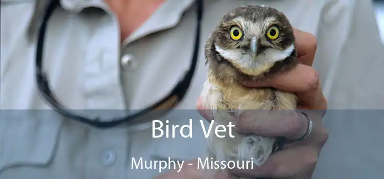 Bird Vet Murphy - Missouri