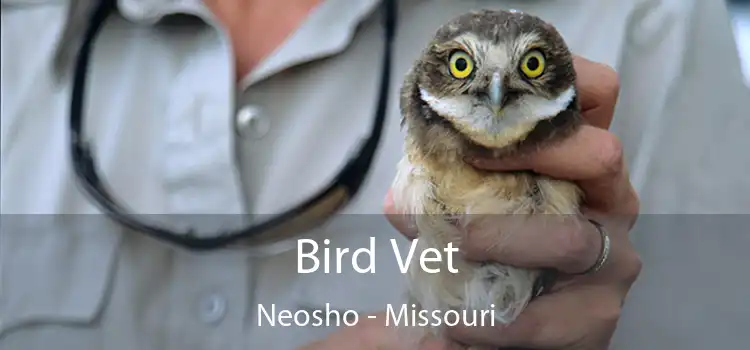 Bird Vet Neosho - Missouri