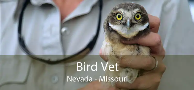 Bird Vet Nevada - Missouri