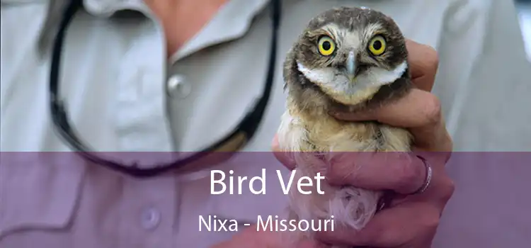 Bird Vet Nixa - Missouri