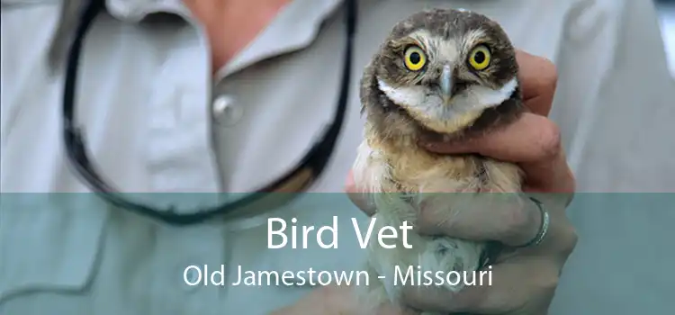 Bird Vet Old Jamestown - Missouri
