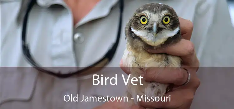 Bird Vet Old Jamestown - Missouri