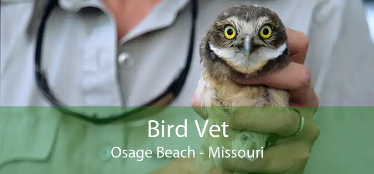 Bird Vet Osage Beach - Missouri