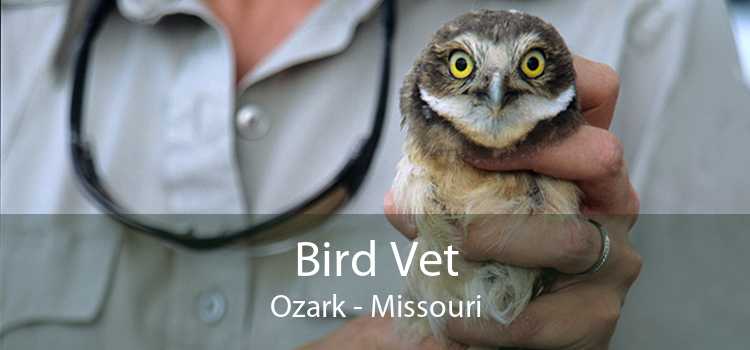 Bird Vet Ozark - Missouri