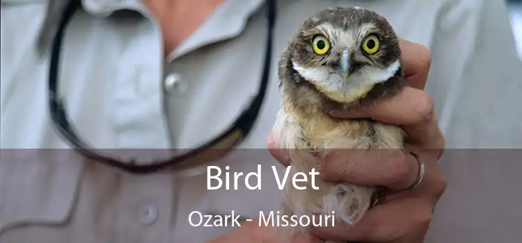 Bird Vet Ozark - Missouri