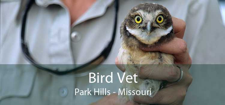 Bird Vet Park Hills - Missouri