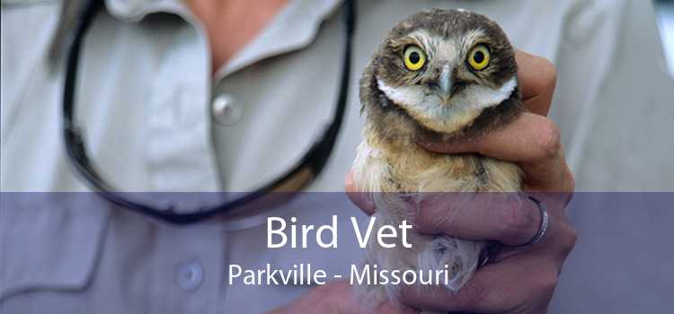 Bird Vet Parkville - Missouri