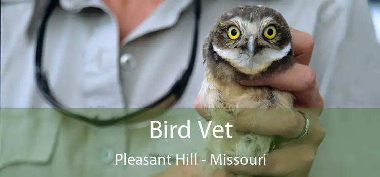Bird Vet Pleasant Hill - Missouri