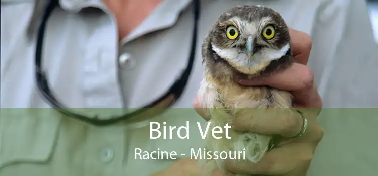 Bird Vet Racine - Missouri