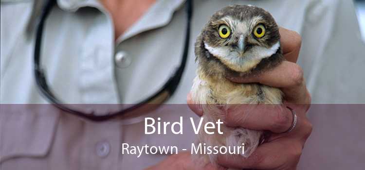 Bird Vet Raytown - Missouri