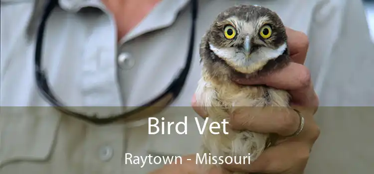 Bird Vet Raytown - Missouri
