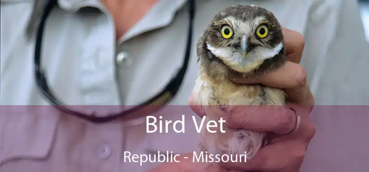 Bird Vet Republic - Missouri